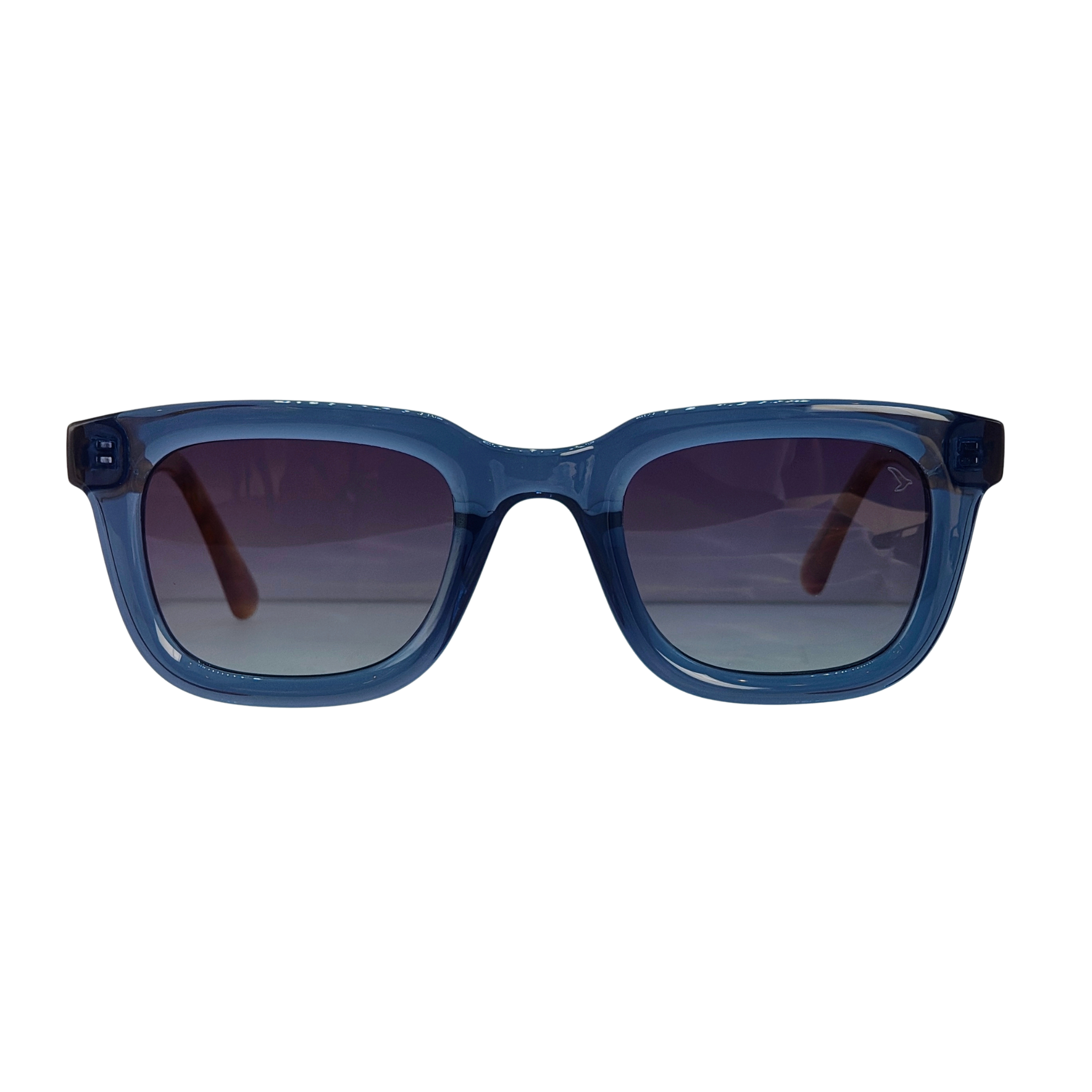 Óculos de Sol Bernardo Masculino em Acetato Bold com Proteção UV400 | TNC&co