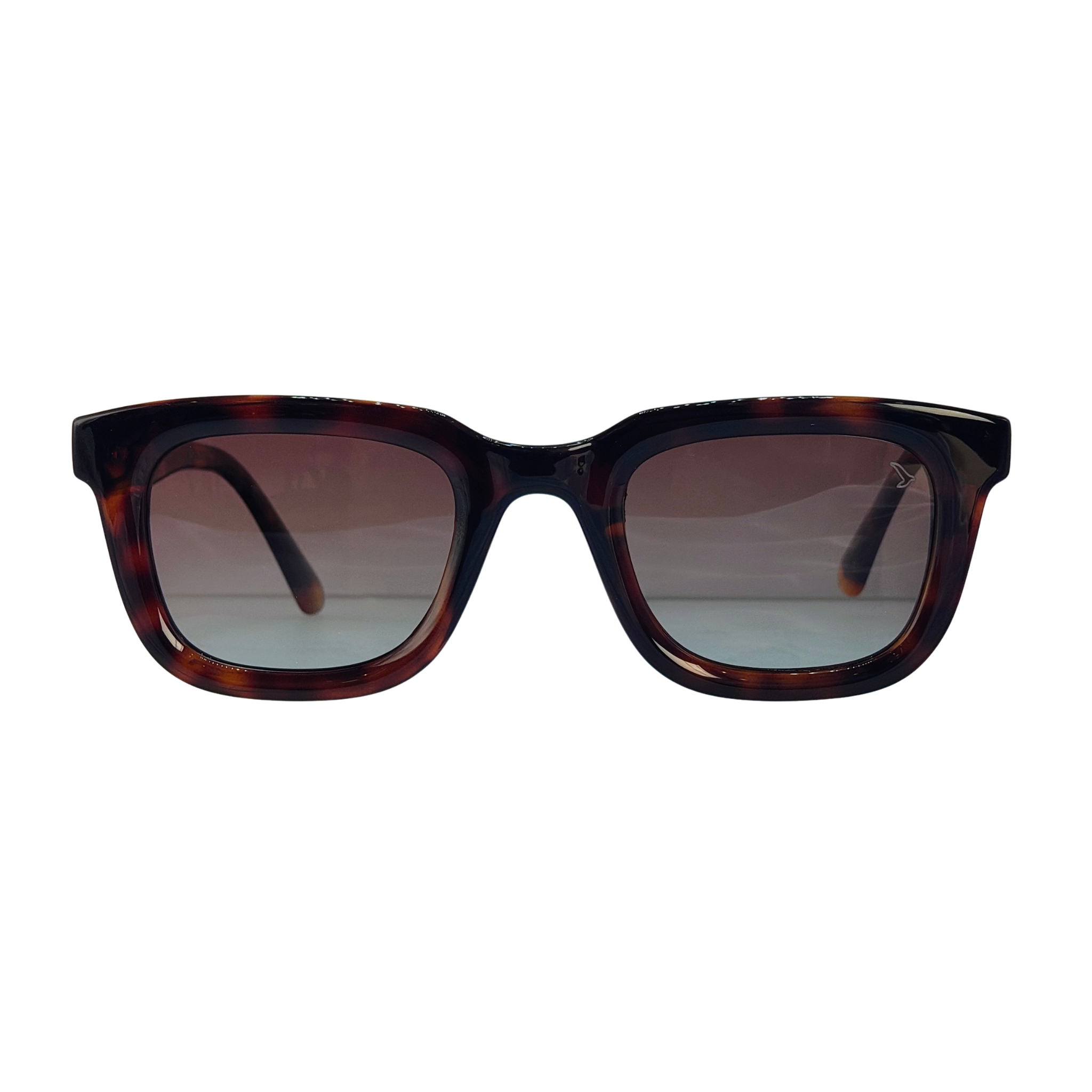 Óculos de Sol Bernardo Masculino em Acetato Bold com Proteção UV400 | TNC&co
