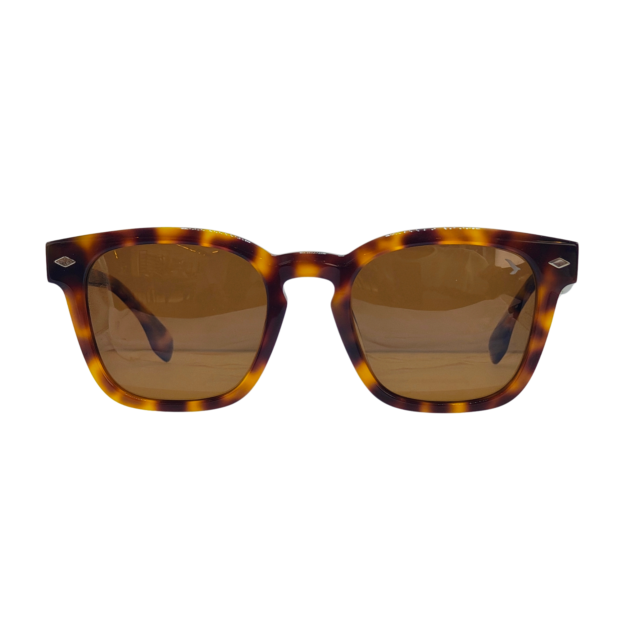 Óculos de Sol Lucca Masculino em Acetato Clássico com Proteção UV400 | TNC&co