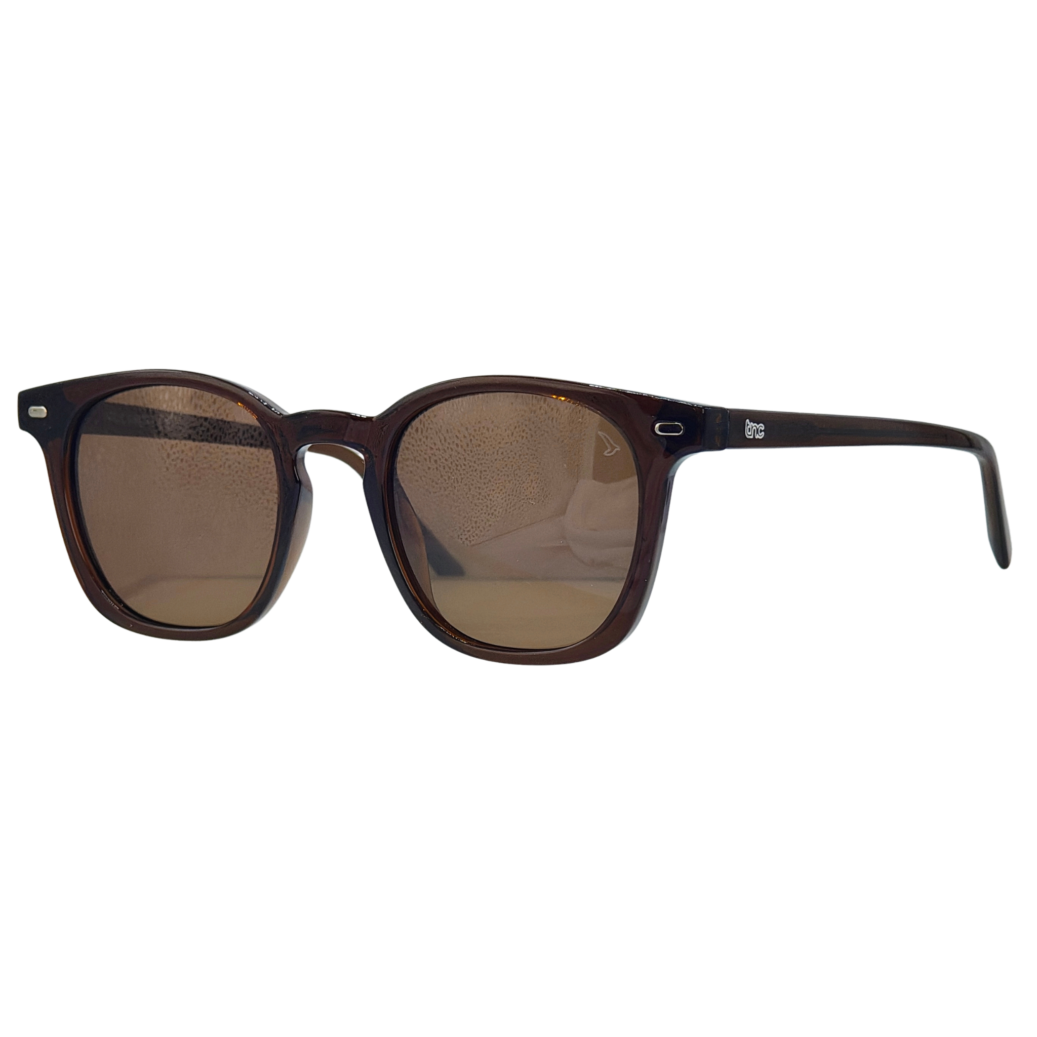 Óculos de Sol Theo Masculino Quadrado em Acetato com Proteção UV400 | TNC&co