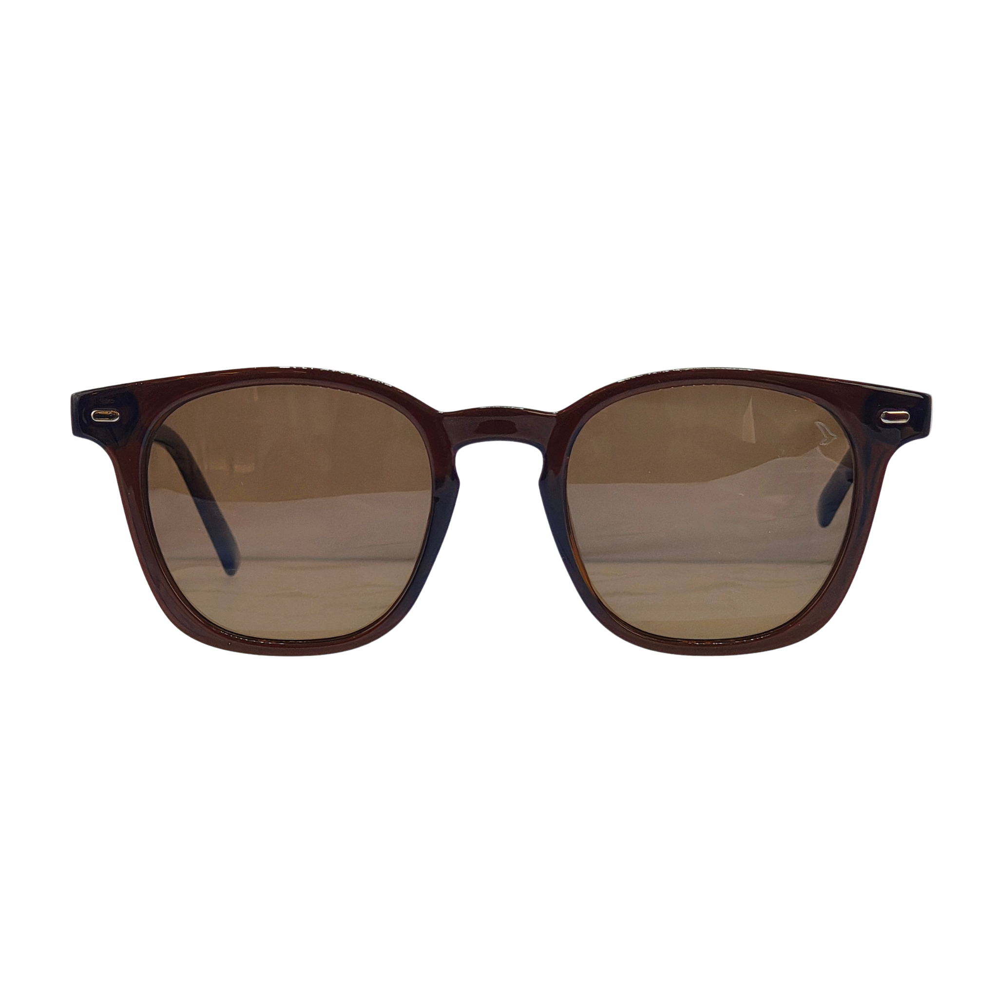 Óculos de Sol Theo Masculino Quadrado em Acetato com Proteção UV400 | TNC&co