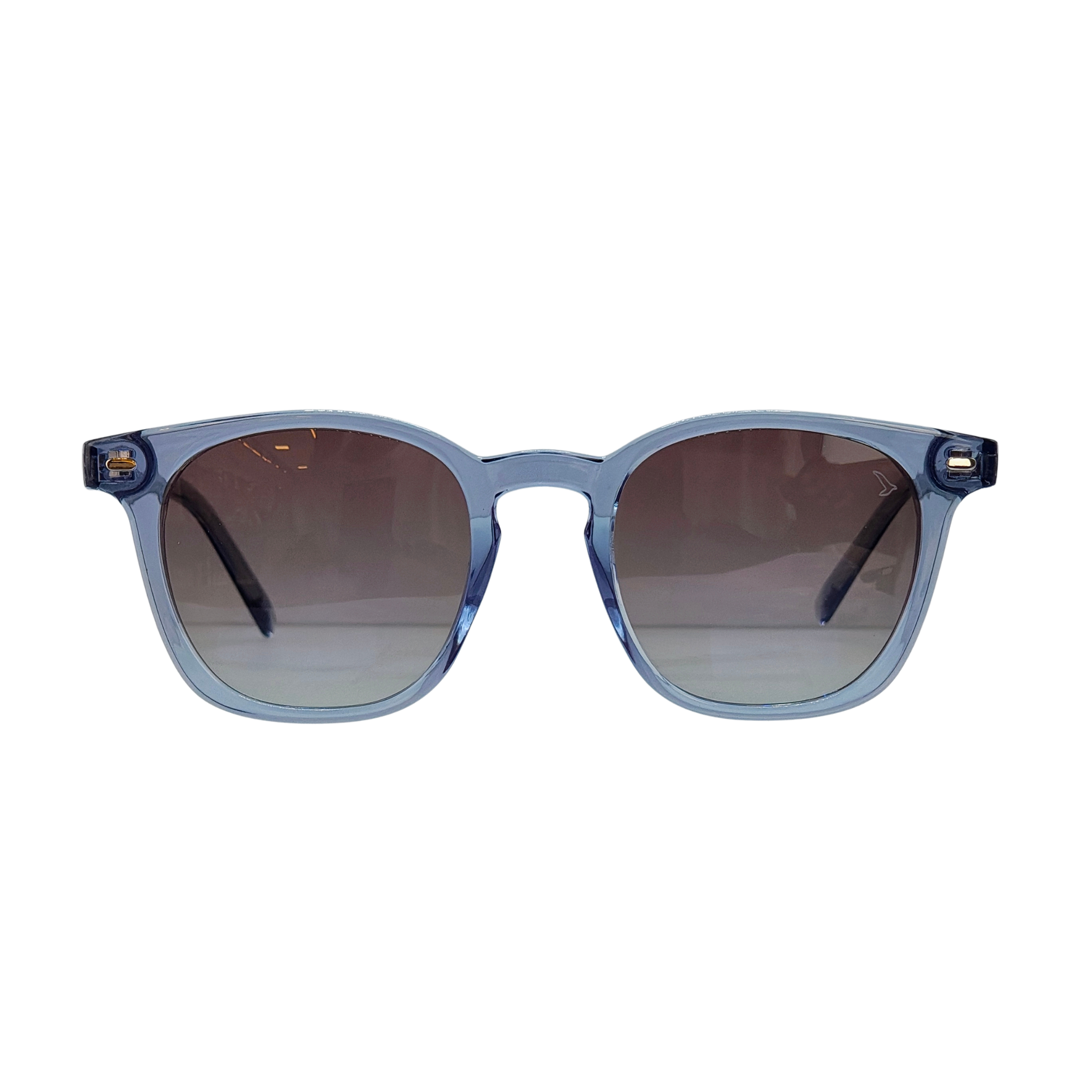 Óculos de Sol Theo Masculino Quadrado em Acetato com Proteção UV400 | TNC&co